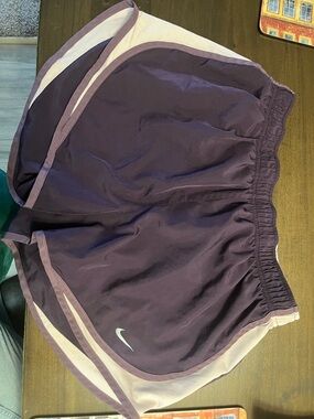 Nike Plum and Light Mauve Running Shorts